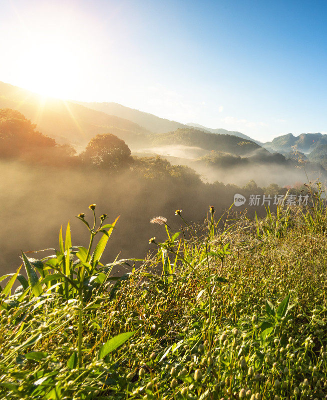 在Doi angkhang清迈自然景观风景秀丽的日出在泰国北部